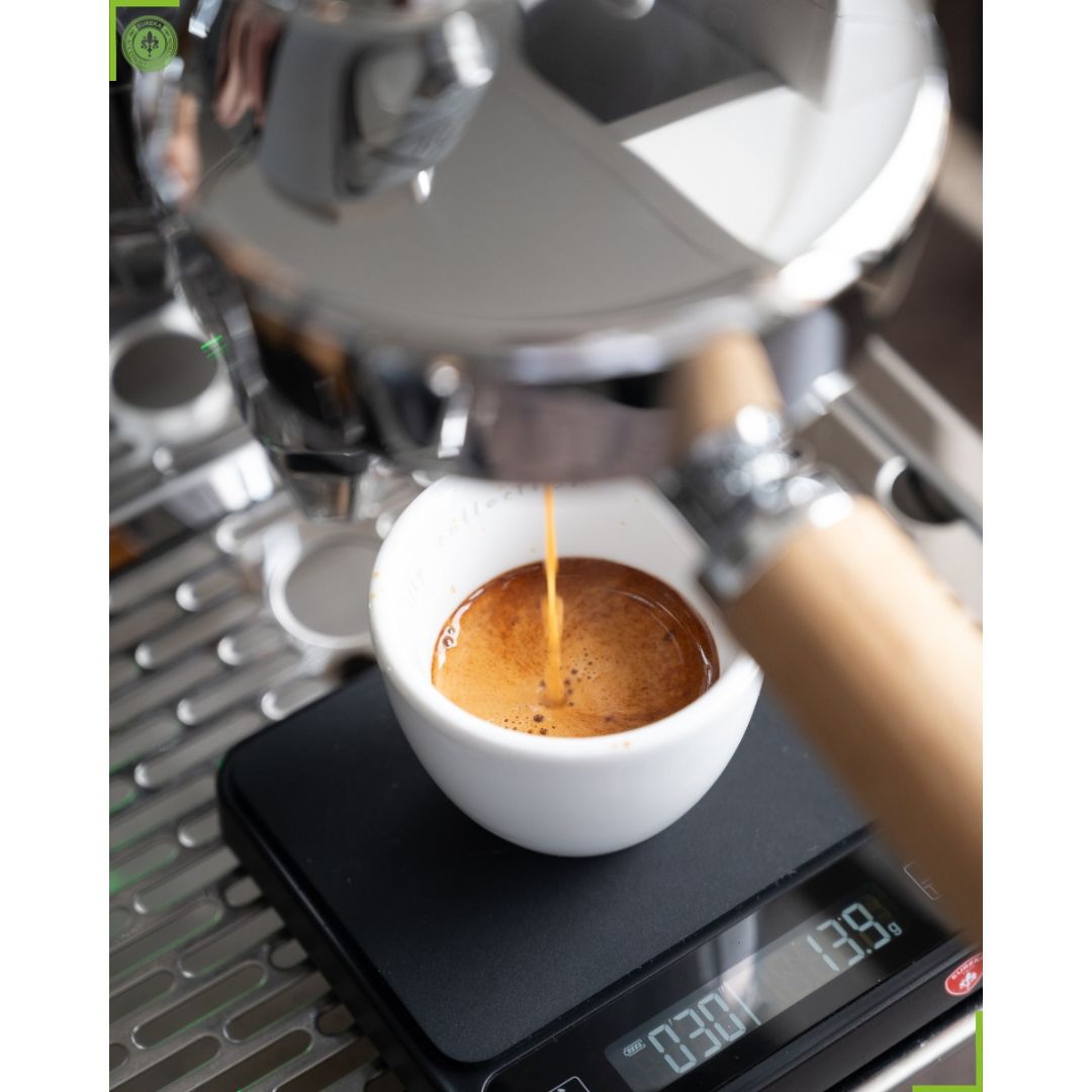 Eureka Precisa Digital Scale