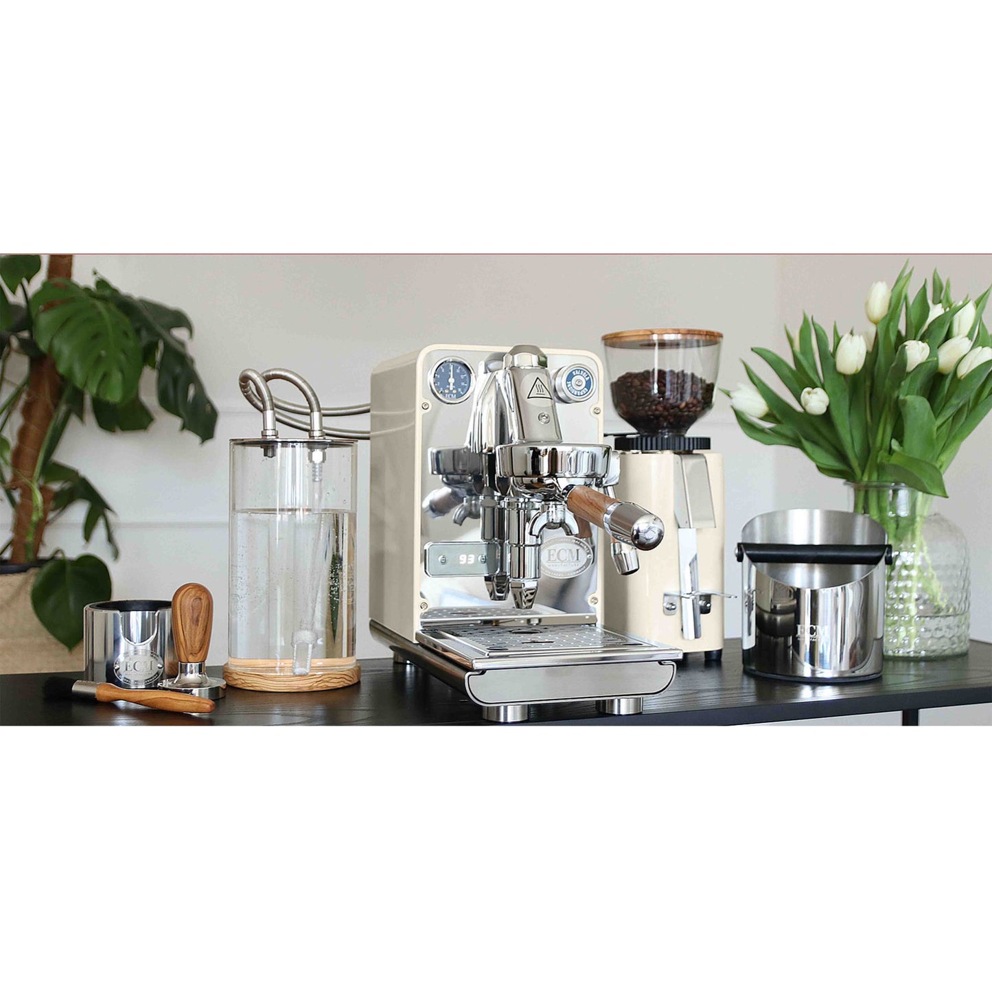 ECM PURISTIKA espresso machine